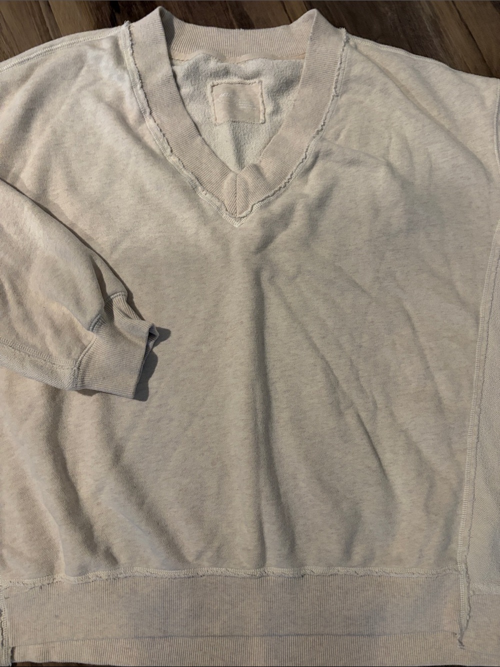 Aerie V-Neck Sweatshirt in Oatmeal Beige